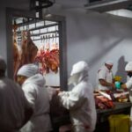 Read more about the article Trump quadrupling Argentina beef tariff rate quota to 80,000 metric tons