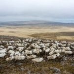 Read more about the article US reopens Alaska wildlife refuge to oil and gas development