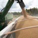 Read more about the article Exclusive-China buys three US soybean cargoes ahead of Trump-Xi meeting, sources say