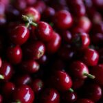 Read more about the article Colombia has best coffee harvest in decades, warns of lower 2025/26 crop