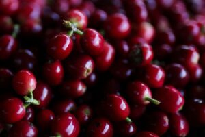 Read more about the article Colombia has best coffee harvest in decades, warns of lower 2025/26 crop