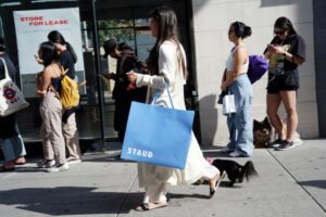 Read more about the article US consumer goods prices rise in September, Openbrand says