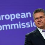 Read more about the article EU presses US to drop tariffs on metals content