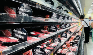 Read more about the article Week Ahead for FX, Bonds: U.S. Inflation, PMI Data in Focus as Shutdown Continues