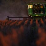 Read more about the article Chinese buyers purchase Brazilian soybeans as prices ease over US-China trade thaw