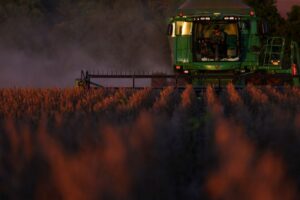 Read more about the article Chinese buyers purchase Brazilian soybeans as prices ease over US-China trade thaw