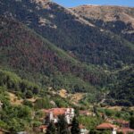 Read more about the article Wildfires, rising temperatures imperil northern hemisphere forests, UN says