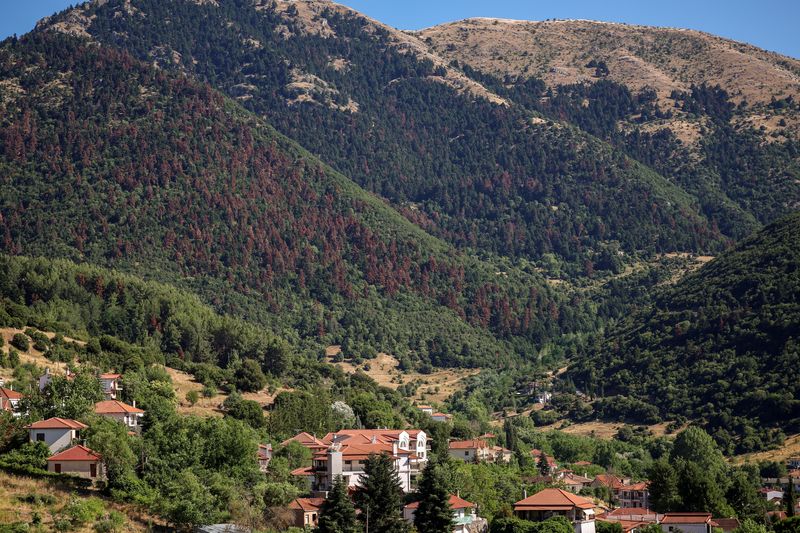 You are currently viewing Wildfires, rising temperatures imperil northern hemisphere forests, UN says