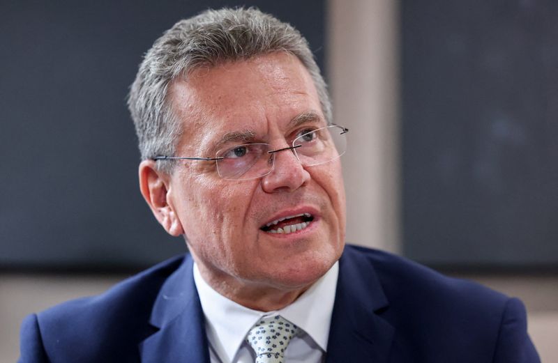 You are currently viewing EU, China created special channel to ensure rare earth supplies, commissioner says