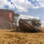 Read more about the article China buys first US wheat cargoes since 2024 after leaders’ meeting, traders say