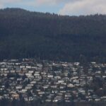 Read more about the article Canadian housing starts fall more than expected in October