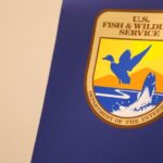 Read more about the article Trump administration proposes to loosen rules protecting endangered species