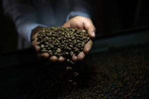 Read more about the article Global coffee prices plunge after Trump removes tariffs on Brazil