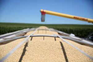 Read more about the article Exclusive-China buys at least 10 US soybean cargoes in new deals, sources say