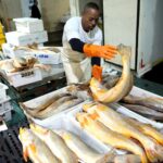 Read more about the article Brazil creates fewer formal jobs than expected in October