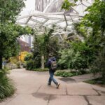 Read more about the article Corporate America has ended its firing freeze, as major companies have announced tens of thousands of layoffs in recent weeks