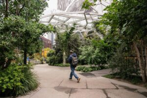 Read more about the article Corporate America has ended its firing freeze, as major companies have announced tens of thousands of layoffs in recent weeks