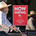 Read more about the article U.S. Hiring Rises for First Time Since July, ADP Reports