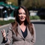 Read more about the article US to announce ‘bridge payment’ for farmers next week, Rollins says