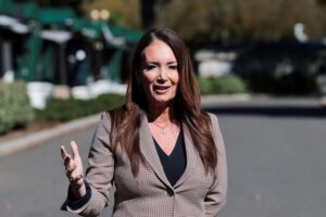 Read more about the article US to announce ‘bridge payment’ for farmers next week, Rollins says