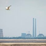 Read more about the article Ukraine’s Zaporizhzhia nuclear plant temporarily lost power overnight, IAEA says