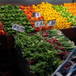 Read more about the article Growth to Slow as Tariffs Bite, But AI Investments May Cushion the Blow