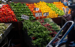 Read more about the article Growth to Slow as Tariffs Bite, But AI Investments May Cushion the Blow