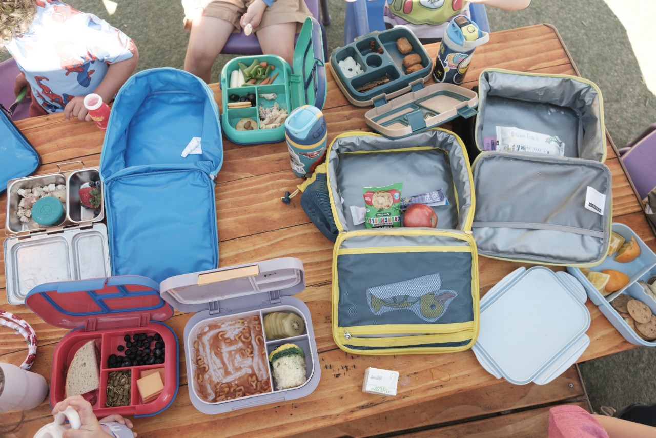 You are currently viewing Could $1,000 “Trump Accounts” for newborns, plus an additional $250 for some children 10 and under, convince Americans to have more kids?