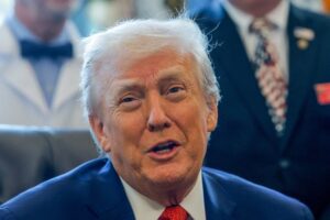 Read more about the article Trump says no critical minerals tariffs for now, will seek overseas supplies