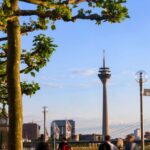 Read more about the article German investor morale rises more than expected in January, ZEW finds