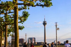 Read more about the article German investor morale rises more than expected in January, ZEW finds