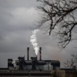 Read more about the article Business Activity Picks Up in Parts of Europe and Asia