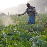 Read more about the article US trade chief says India to maintain some agriculture protections in deal with Trump