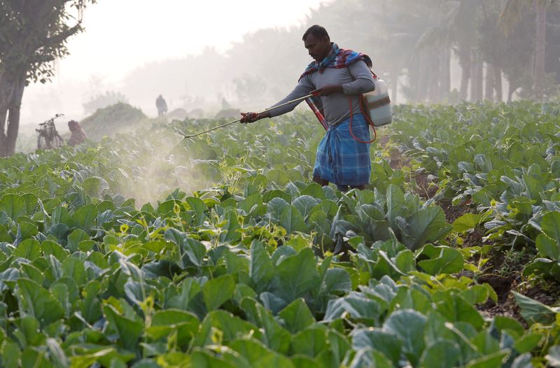 You are currently viewing US trade chief says India to maintain some agriculture protections in deal with Trump
