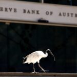 Read more about the article Reserve Bank of Australia Needs to Cease Equivocating About Inflation Risks
