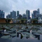 Read more about the article Singapore Q1 GDP up 4.6% y/y, preliminary data shows, below expectations