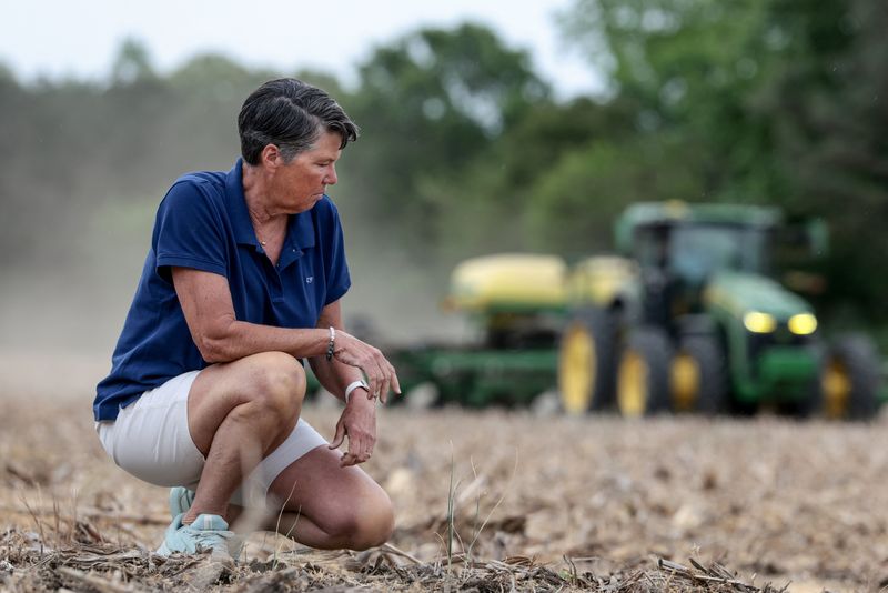 You are currently viewing Trump administration rejects women picked for soybean board, appoints men instead