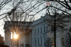 Read more about the article A new White House study concludes that DEI policies that encourage hiring managers on the basis of race undercut the industries that adopted them, bolstering Trump’s opposition