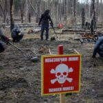 Read more about the article Man, machine and AI combine in battle to clear Ukraine of mines and shells