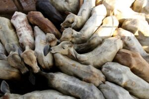 Read more about the article Brazil’s beef exports could drop 10% in 2026 due to Chinese tariffs, says lobby ABIEC