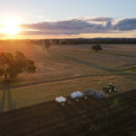 Read more about the article Australia’s farmers, hit by Iran war costs and dry weather, grow less wheat