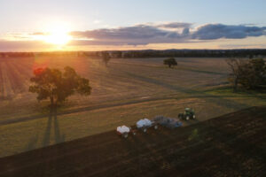 Read more about the article Australia’s farmers, hit by Iran war costs and dry weather, grow less wheat