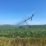 Read more about the article China again flags tariff cuts for US agricultural trade after Trump-Xi meeting, but still no details