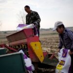 Read more about the article China allows fresh urea exports amid Iran war-fuelled fertiliser crisis, sources say