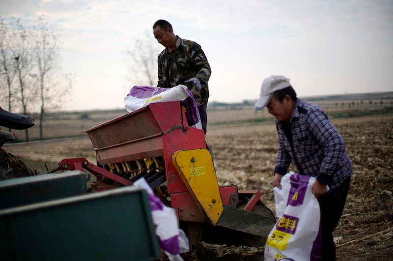You are currently viewing China allows fresh urea exports amid Iran war-fuelled fertiliser crisis, sources say