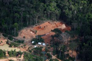 Read more about the article Illegal miners extract billions in Amazon gold despite Brazil crackdown, Greenpeace finds