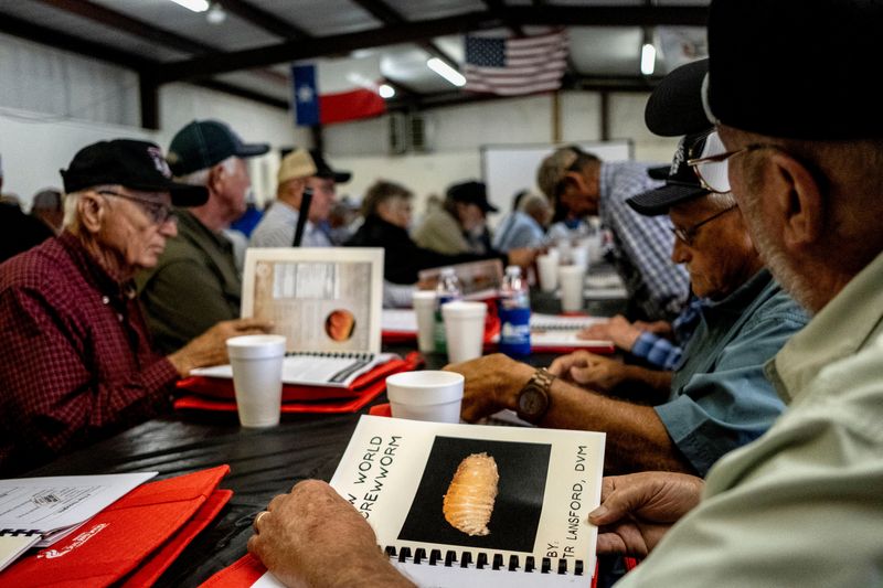 You are currently viewing Flesh-eating screwworm found within 31 miles of US border, says USDA