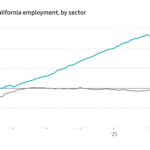 Read more about the article Forget tech and Hollywood. California is powered by healthcare jobs.