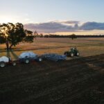Read more about the article Australia says its wheat output will be shrunk by Iran war costs, dry weather
