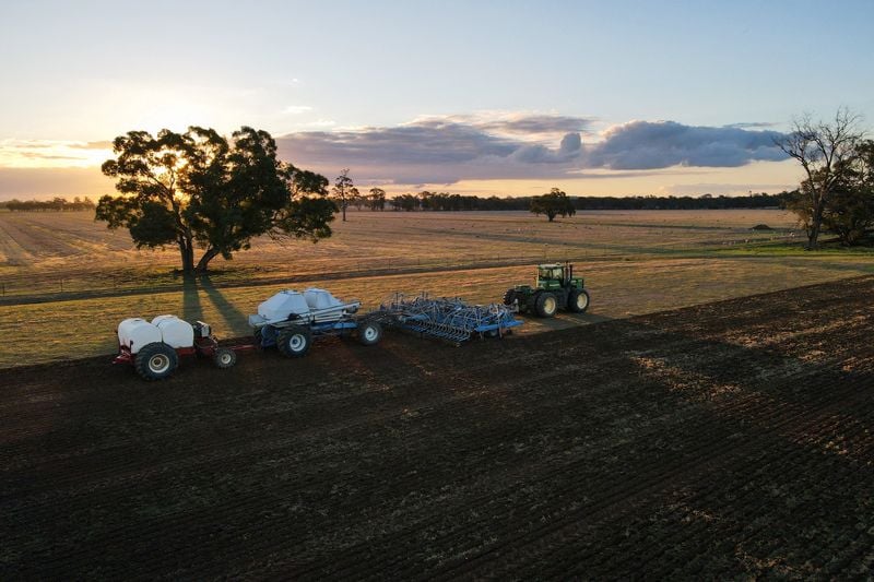 You are currently viewing Australia says its wheat output will be shrunk by Iran war costs, dry weather